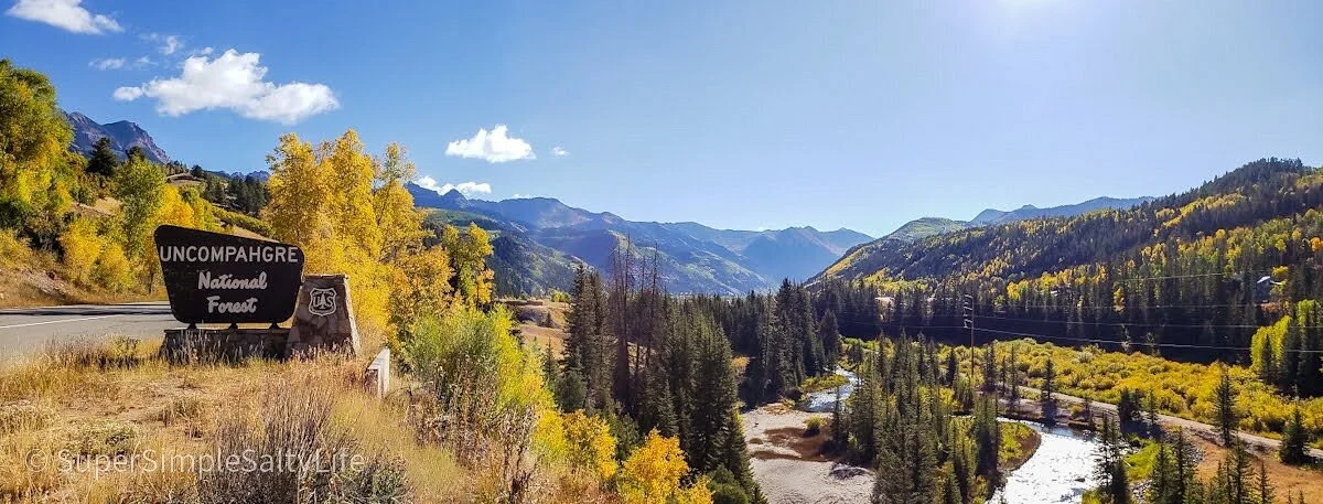 Uncompahgre National Forest