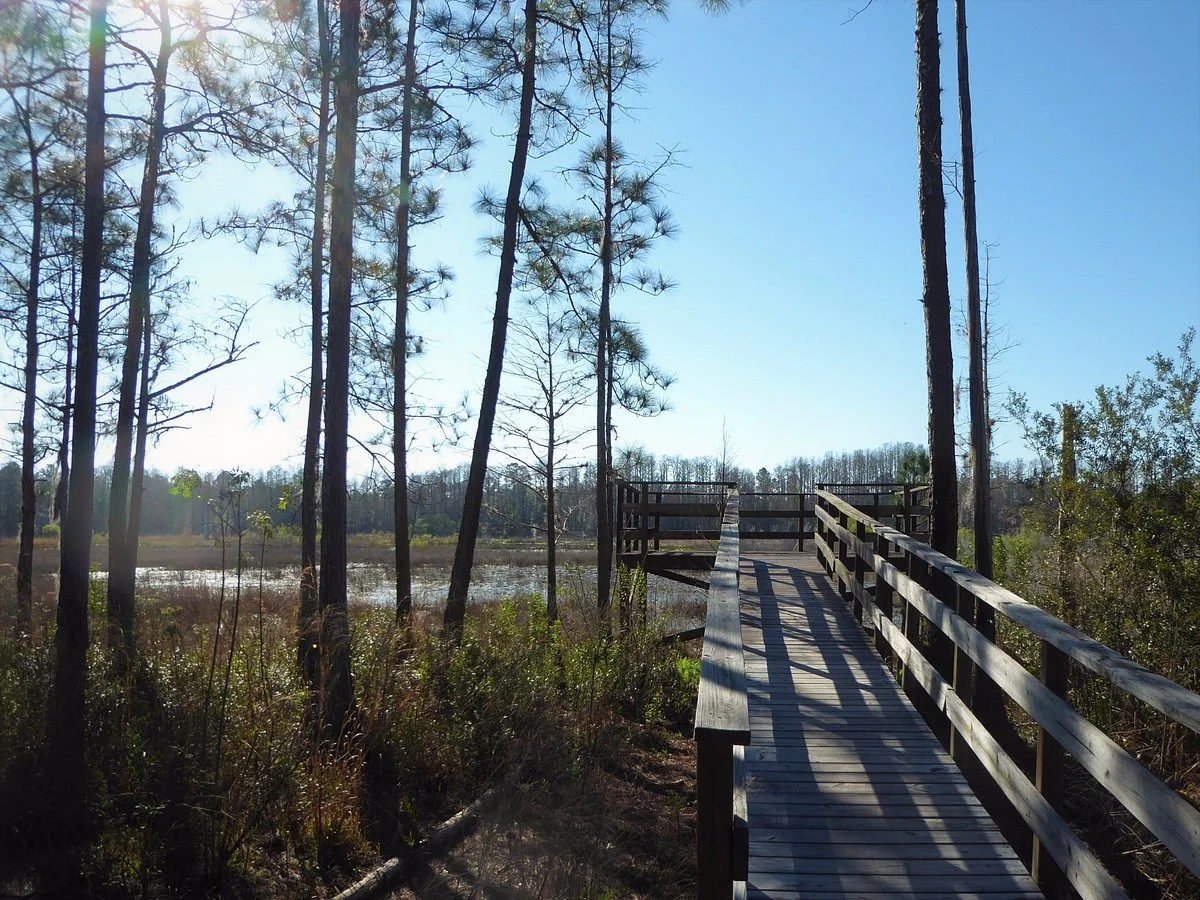 Johnson Pond Trailhead