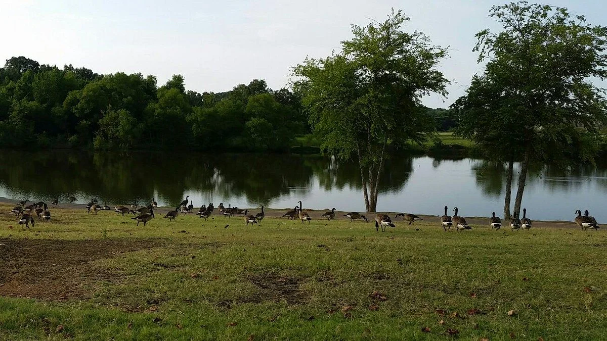 Olive Branch City Park