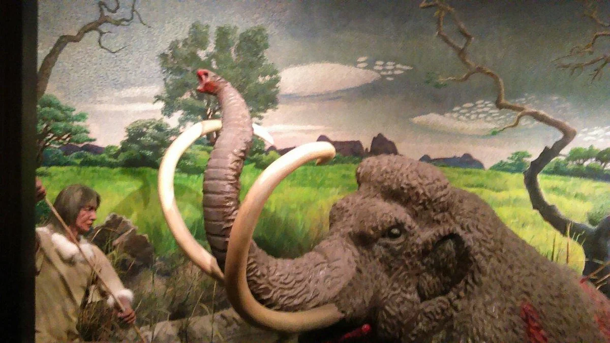 El Paso Museum of Archaeology
