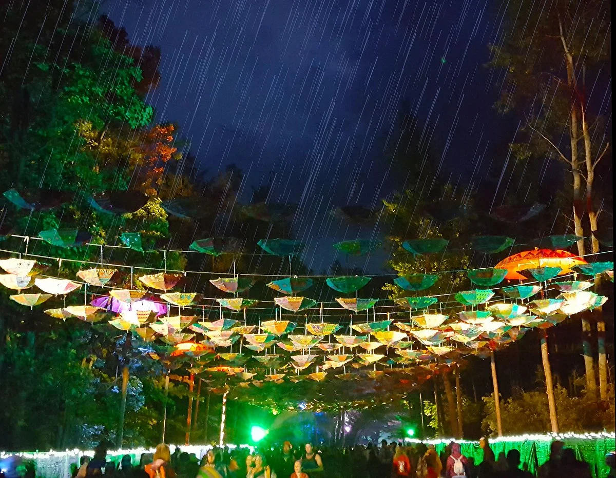 Electric Forest