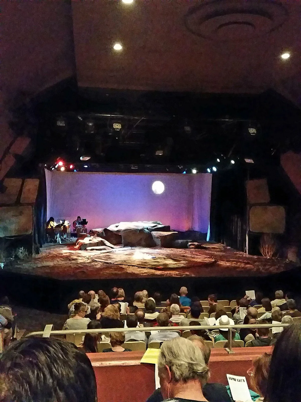 The Aurora Fox
