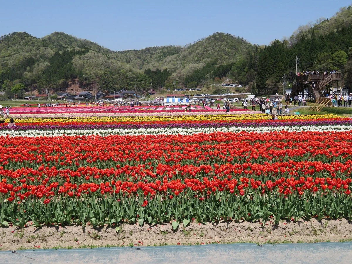 Tanto Flower Park