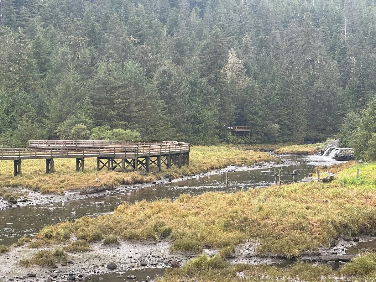 Herring Cove