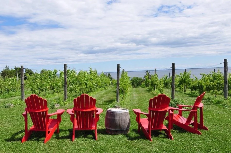 The County Cider Company