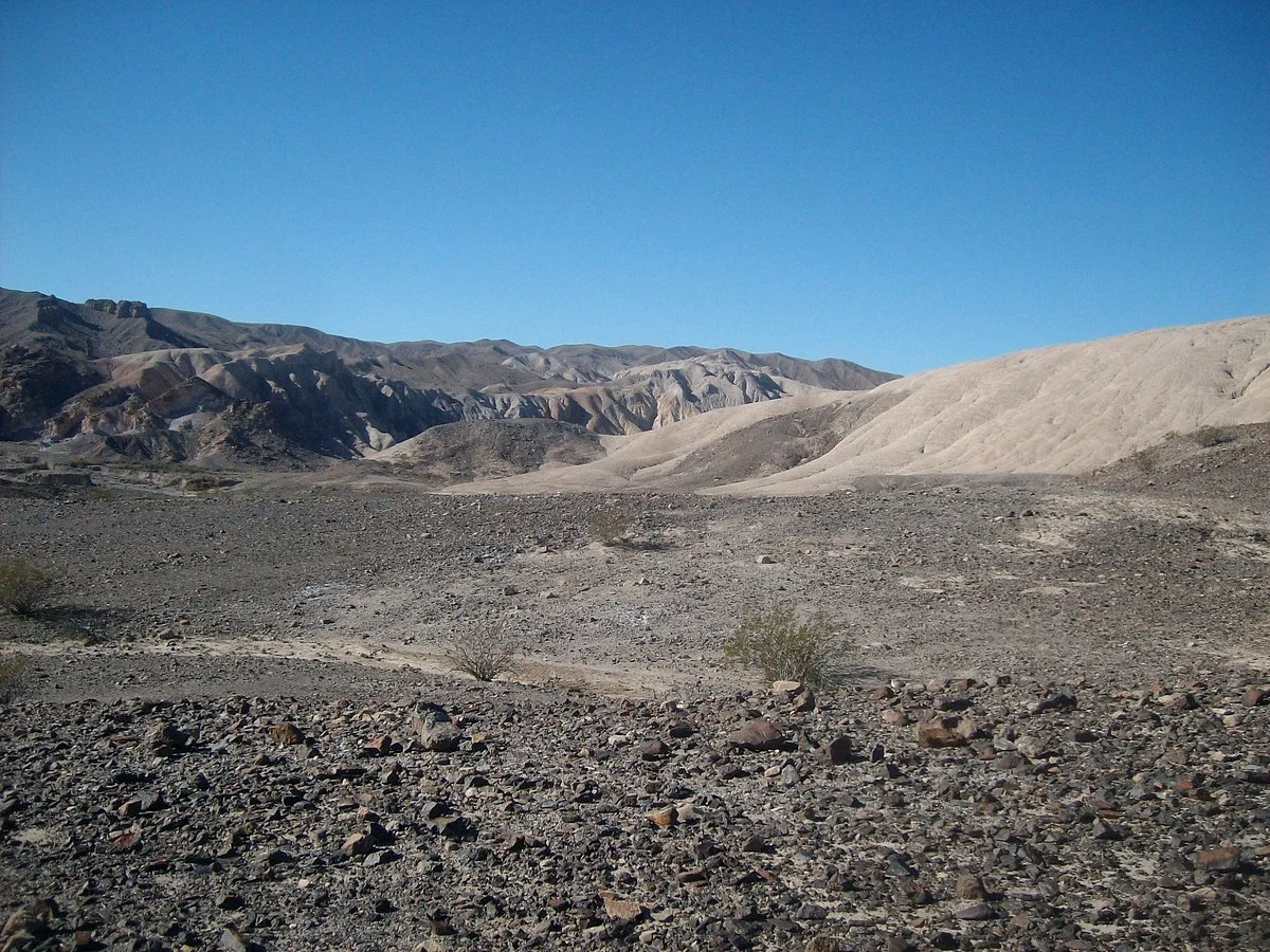 Amargosa River Project