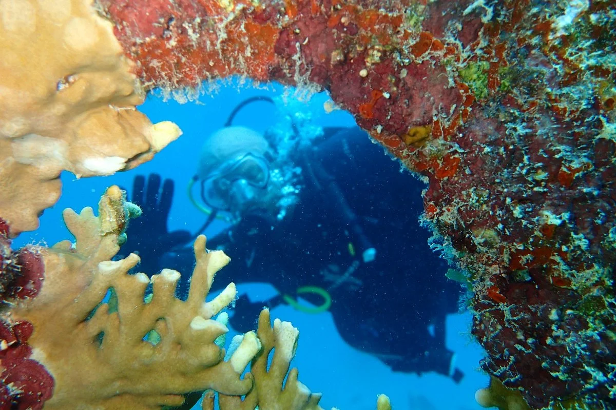 Pedernalis