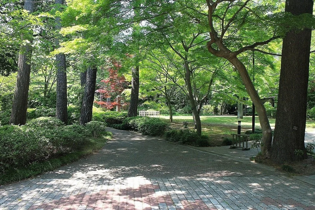 The Institute of Moralogy Kashiwa Campus
