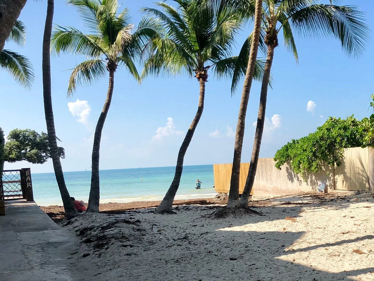 Dog Beach