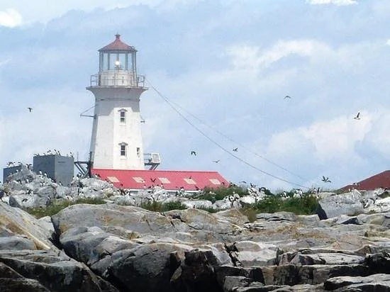 Machias Seal Island