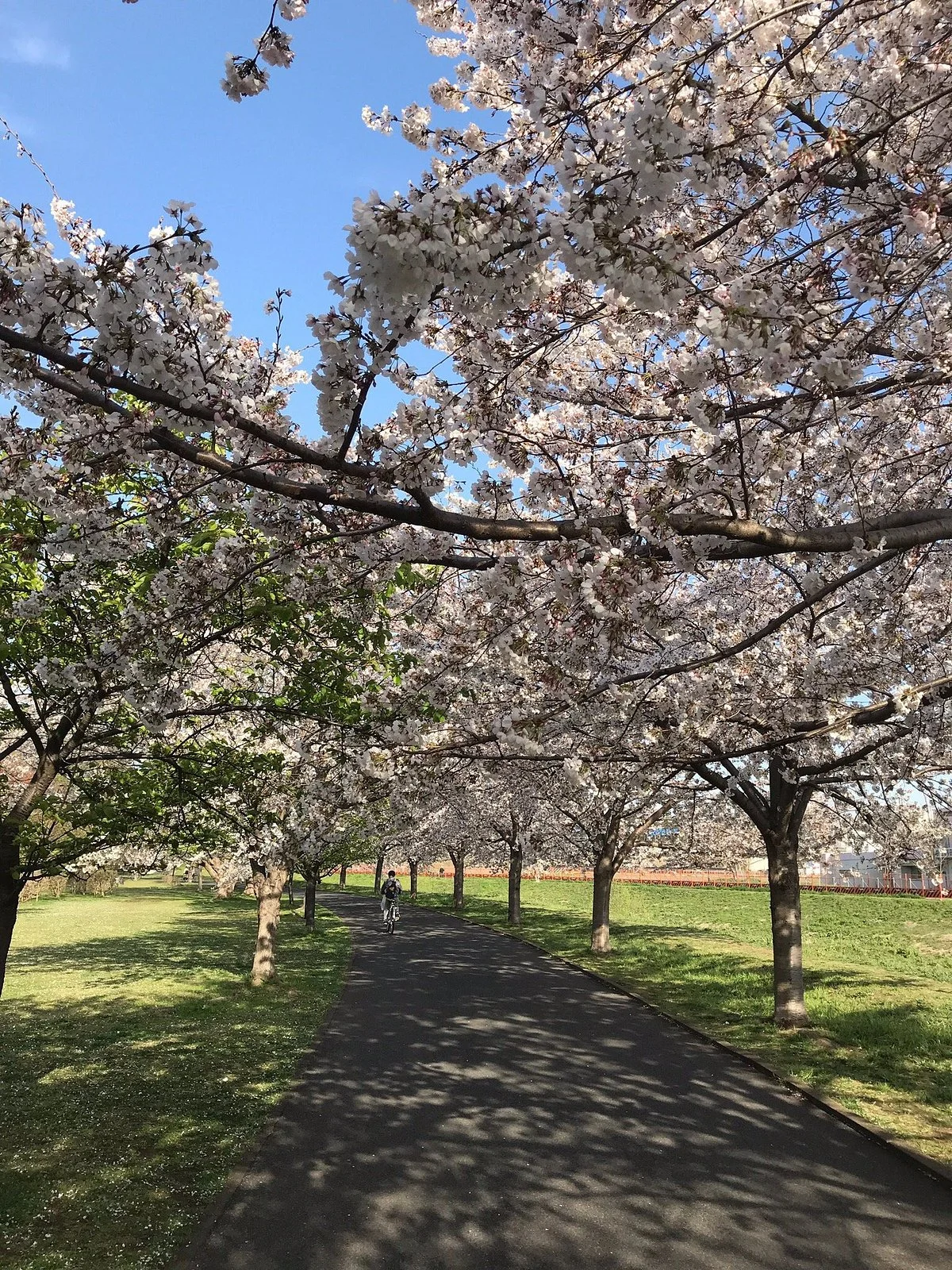 Daihorikawa Riverside Park