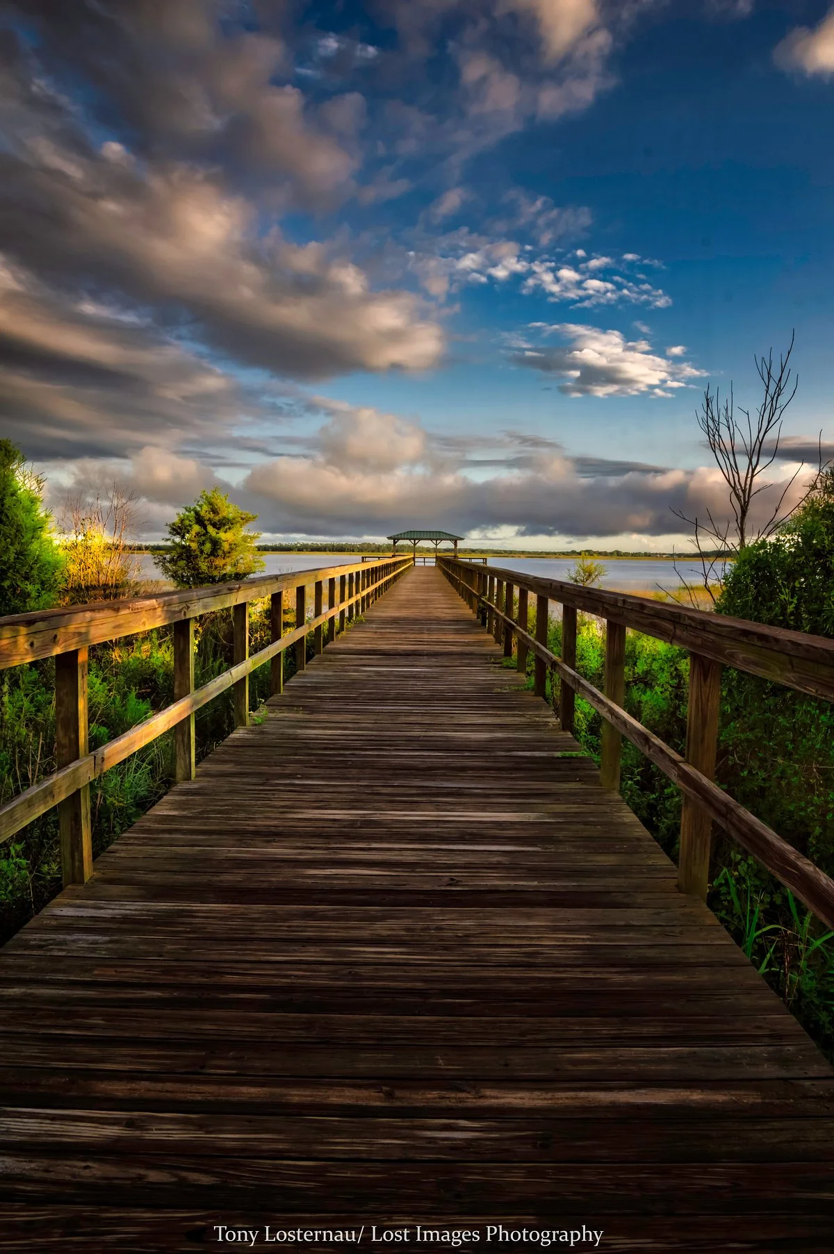Twin Oaks Conservation