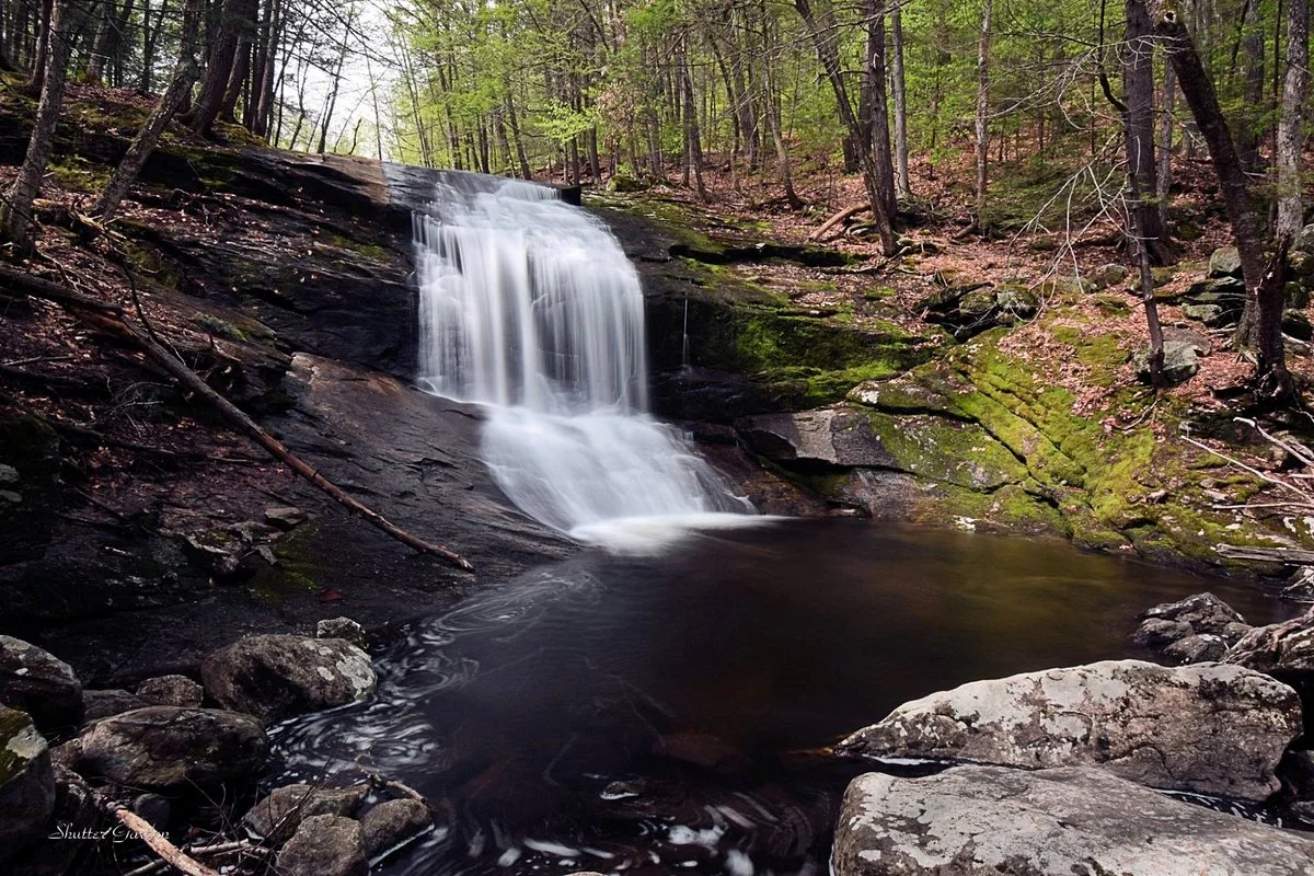 Chapel Brook
