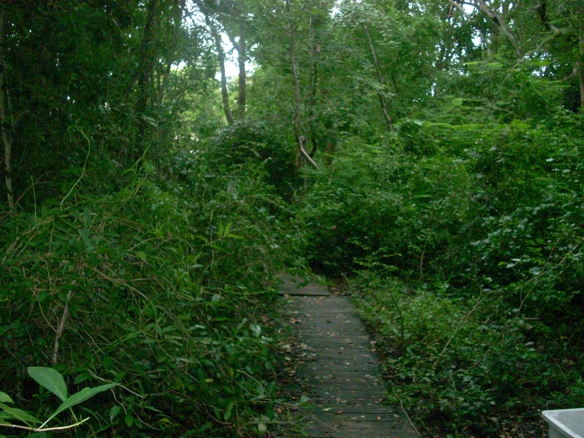 Friendship Park