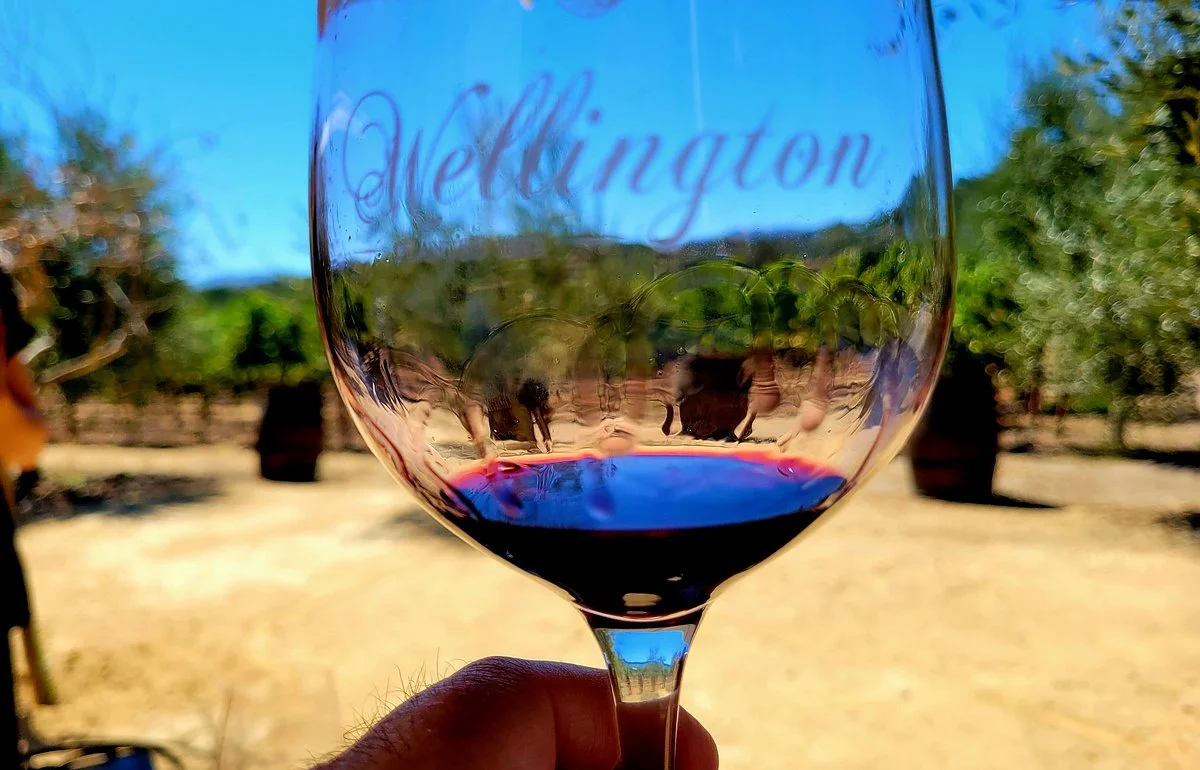 Wellington Cellars