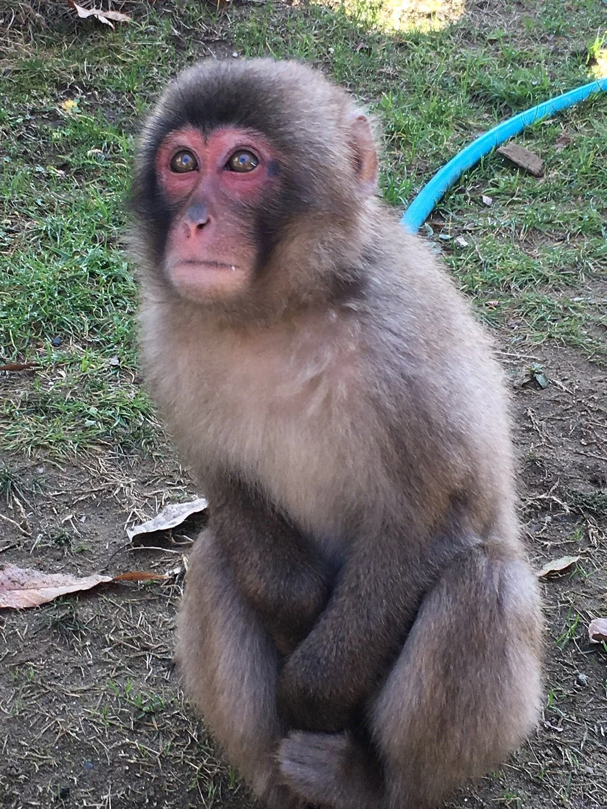 Takagoyama Nature Zoo