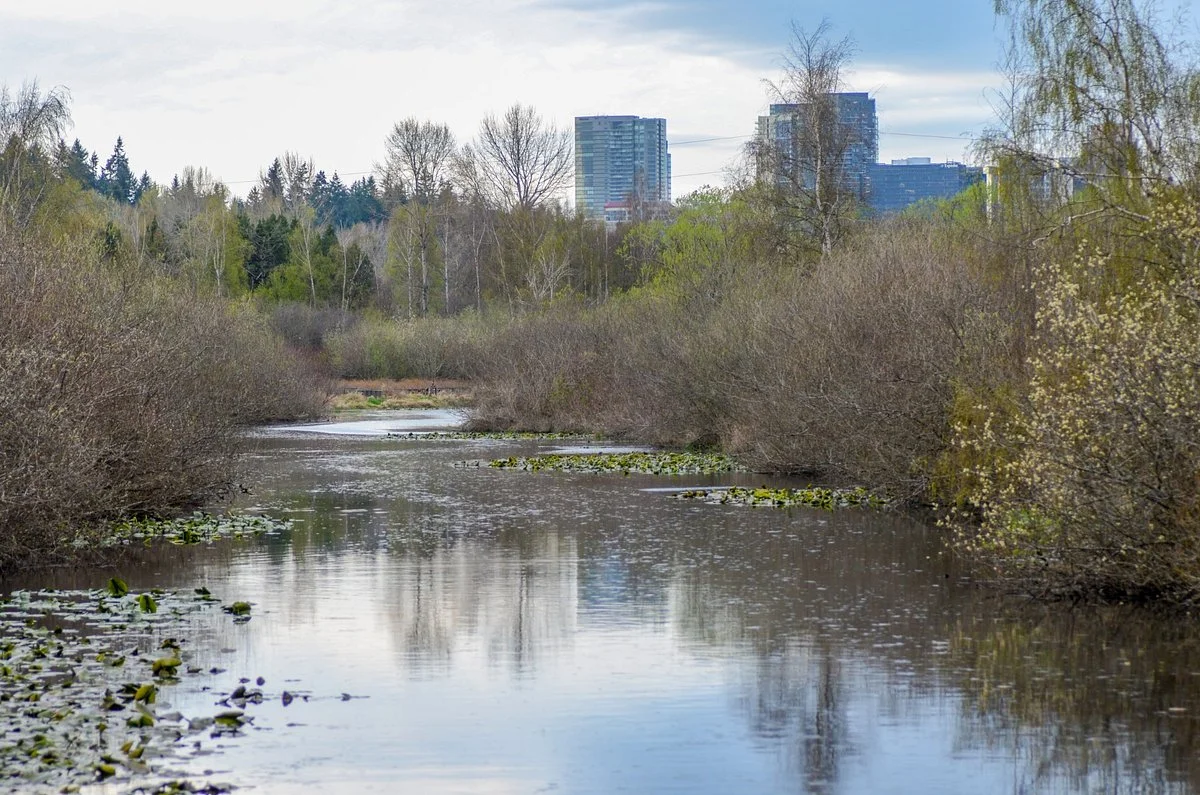 Mercer Slough Nature Park