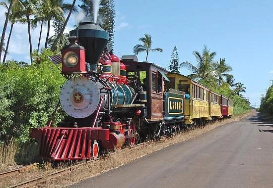 Sugar Cane Train
