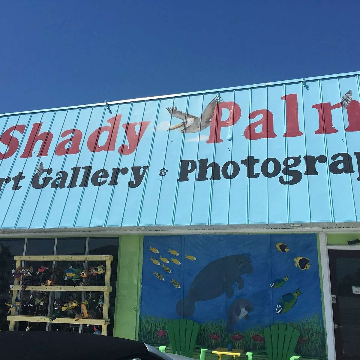 Shady Palm Art Gallery & Photography