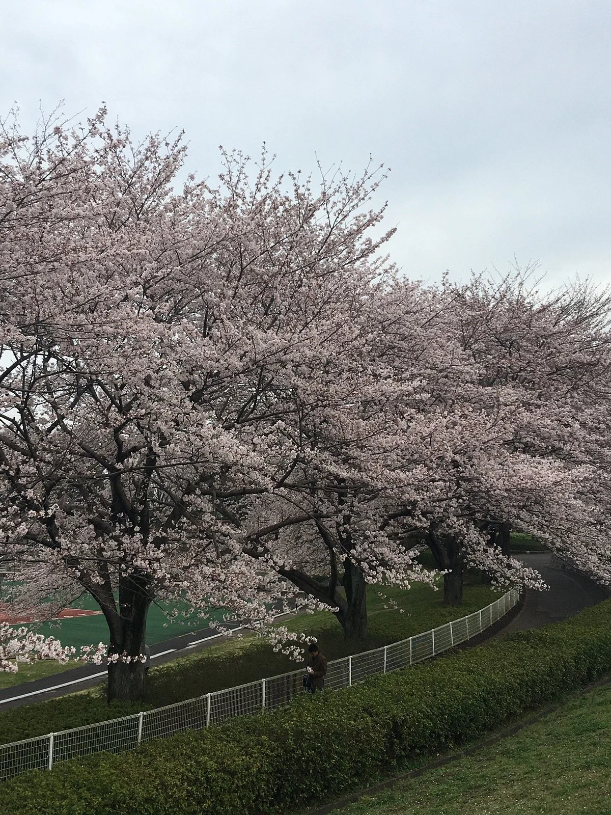 Akirudai Park