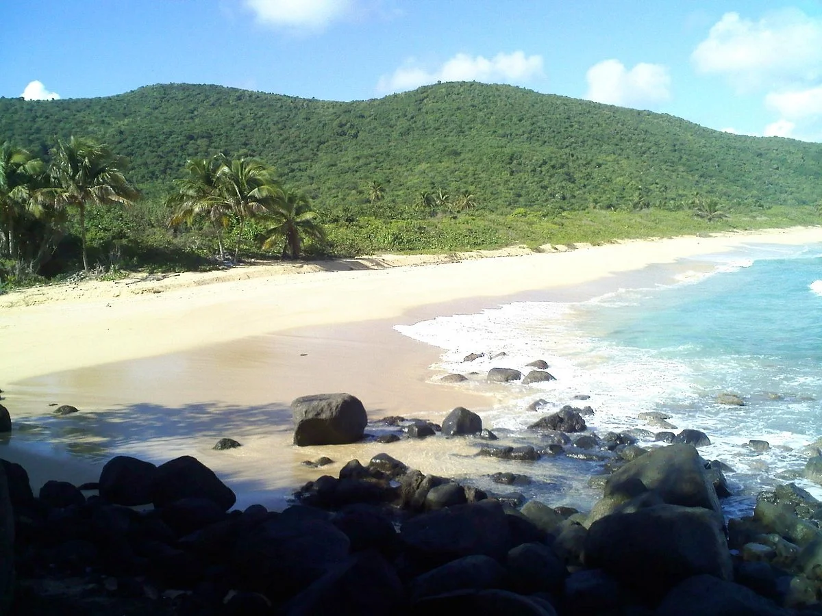 Brava Beach