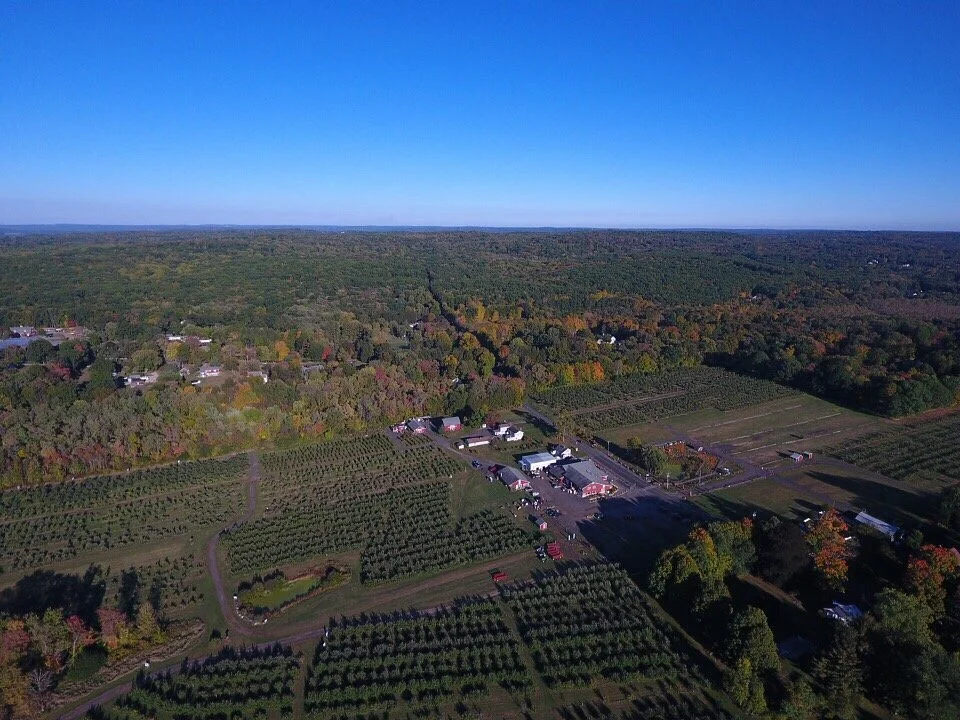 Blue Jay Orchards