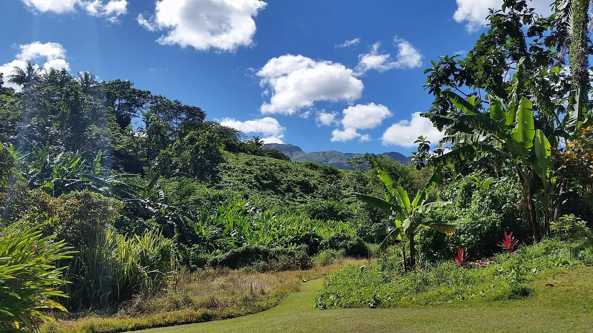 Le Jardin de la Rencontre