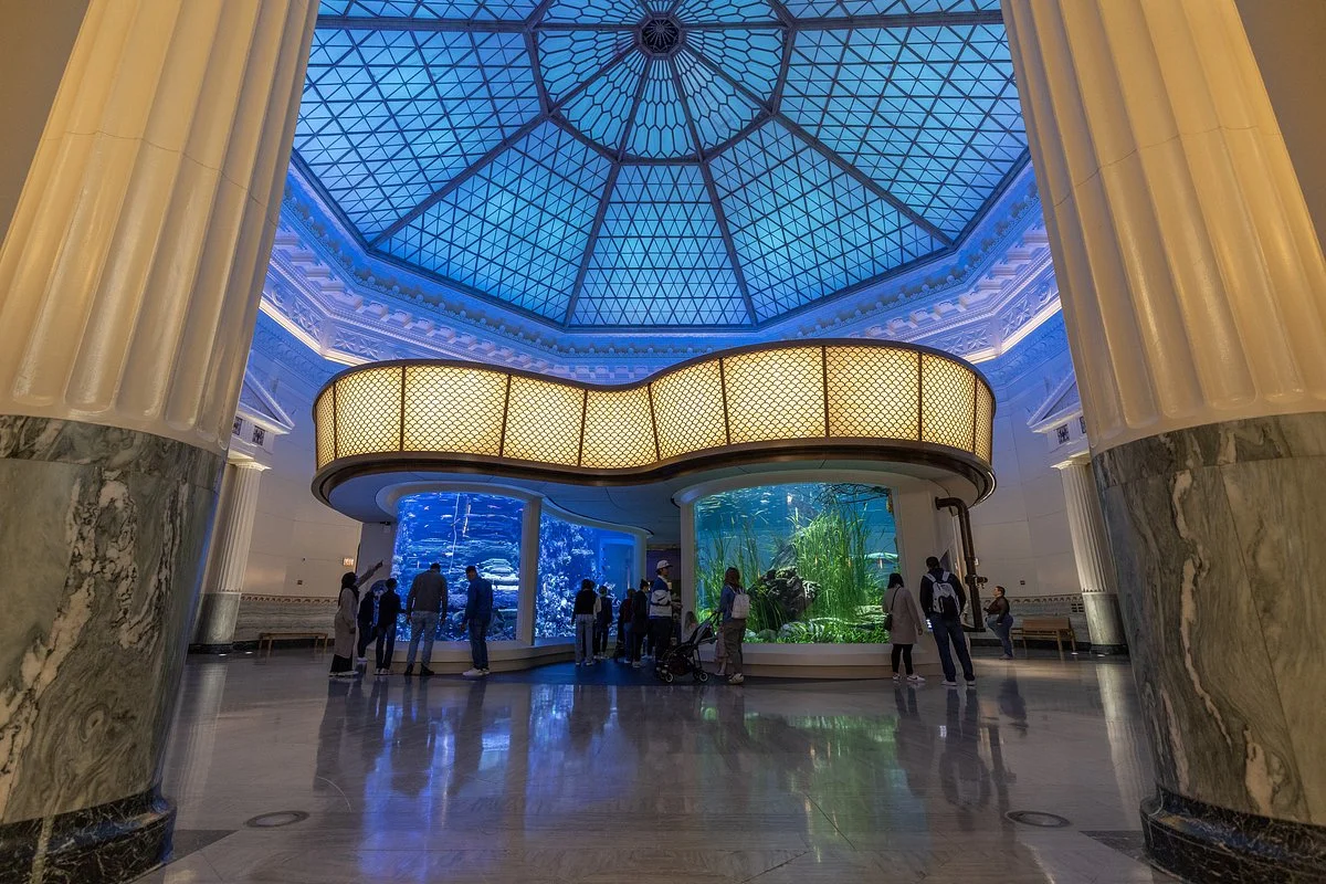 Shedd Aquarium