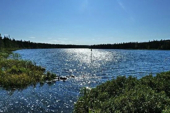 MUN Botanical Garden