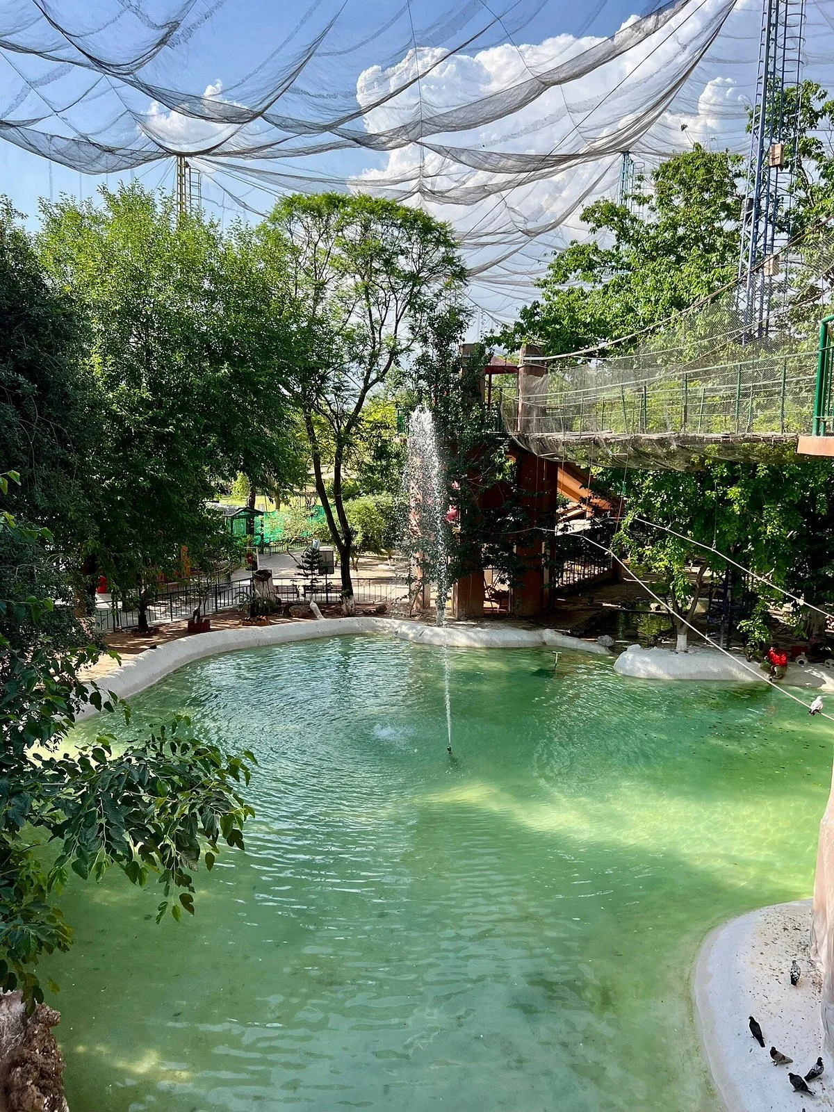 Bird Aviary