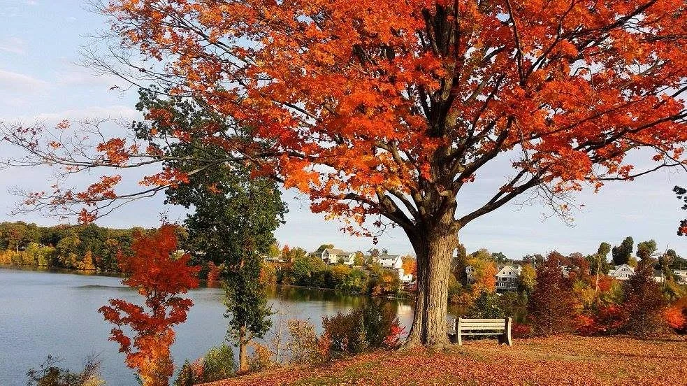 Watershops Pond