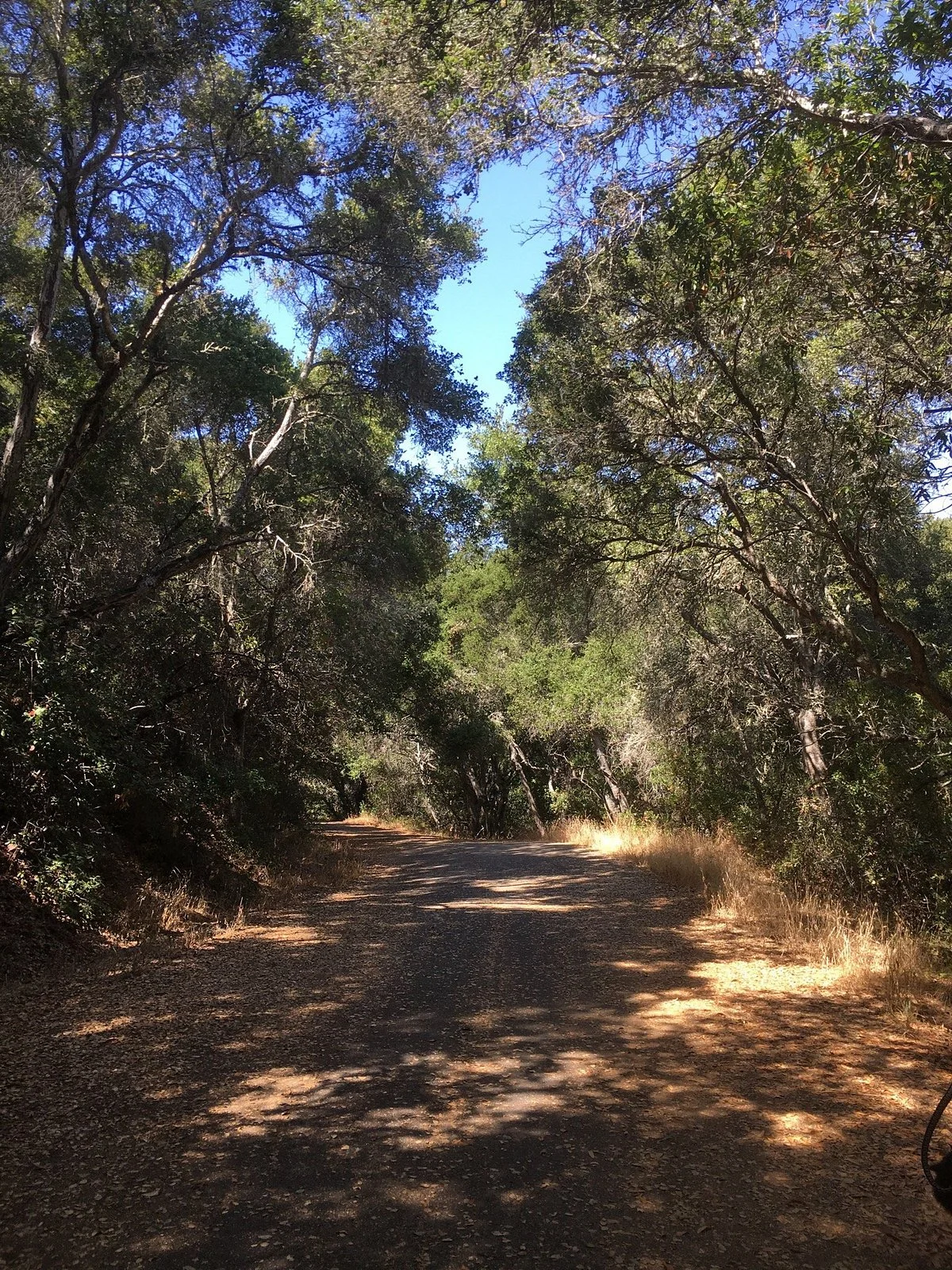 Pulgas Ridge Preserve