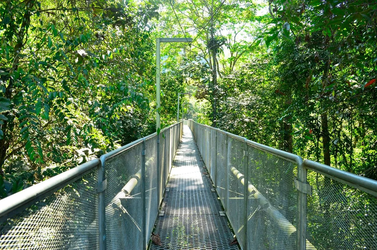 Sungai Sedim Recreational Forest