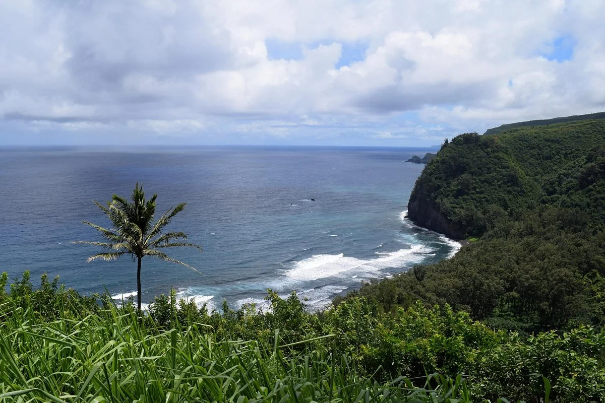 Kohala