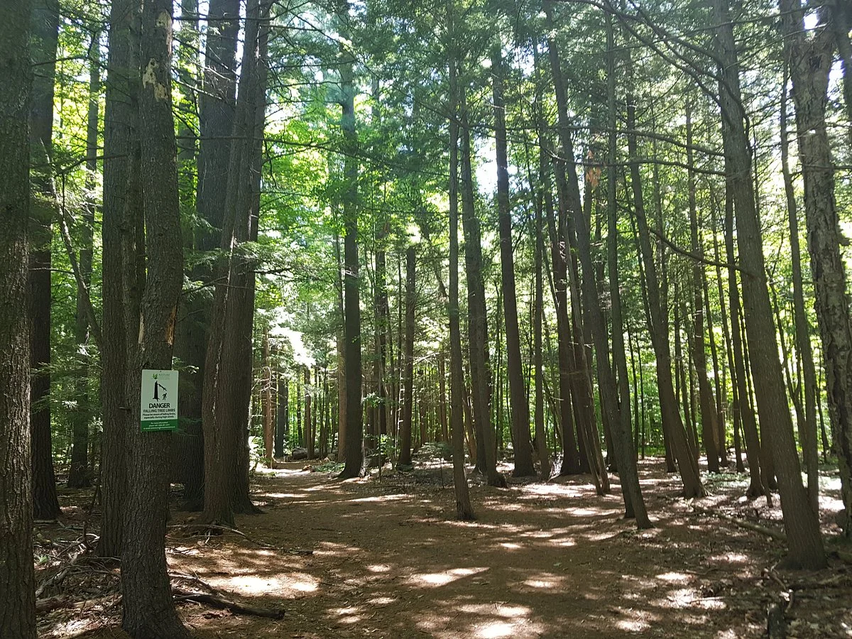 Gillies Grove and House National Historic Site
