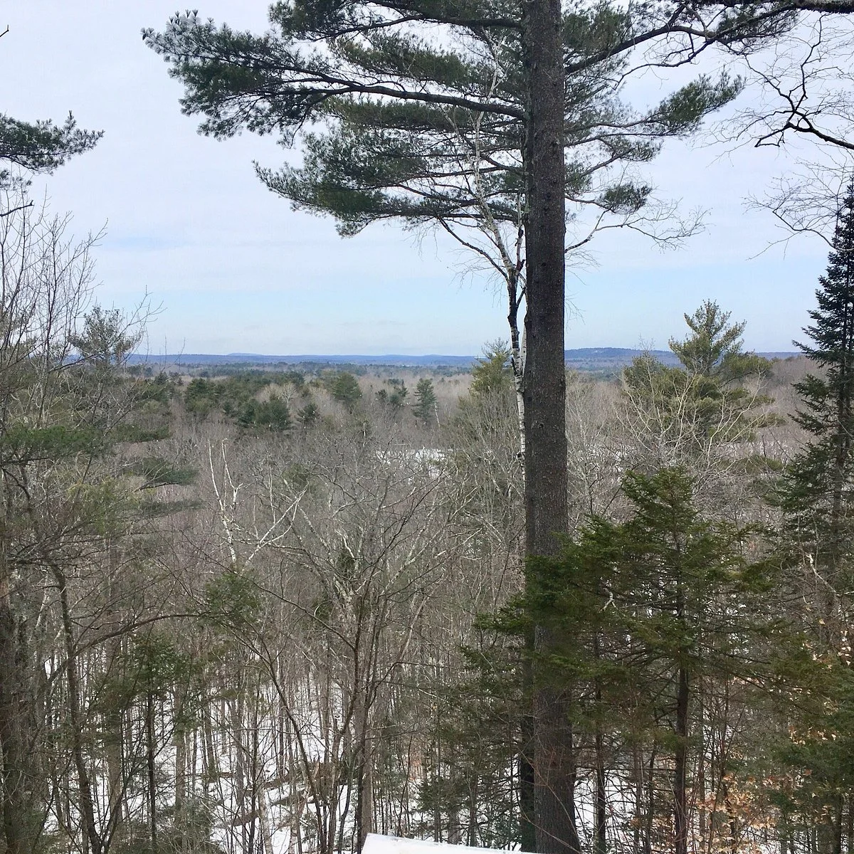 Hedgehog Mountain Trail
