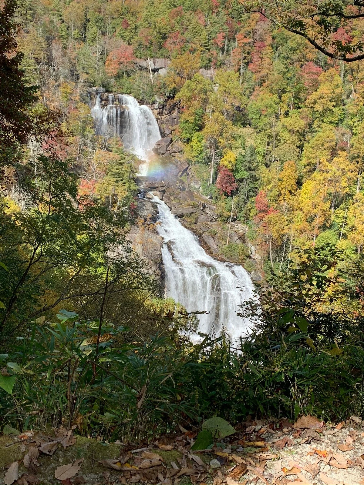 Whitewater Falls