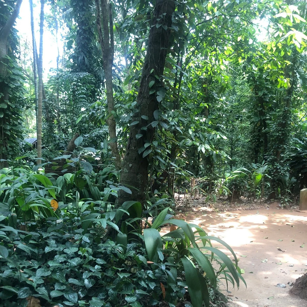 Luck Grove Spice Garden