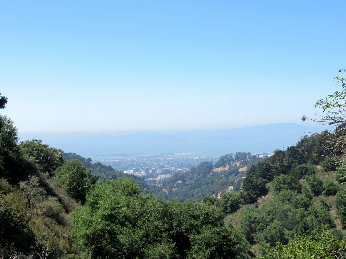 Berkeley Fire Trails