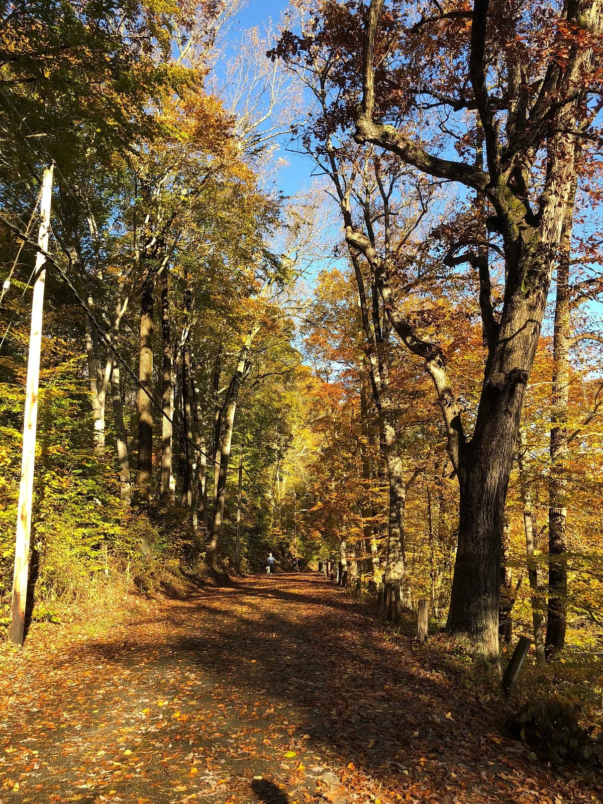 Leakin Park