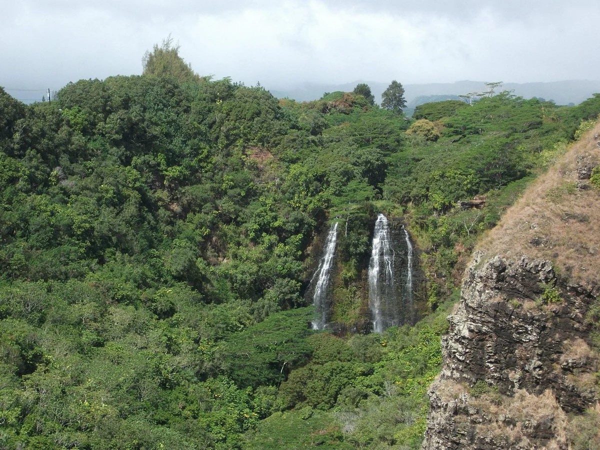 Waipuhia Falls