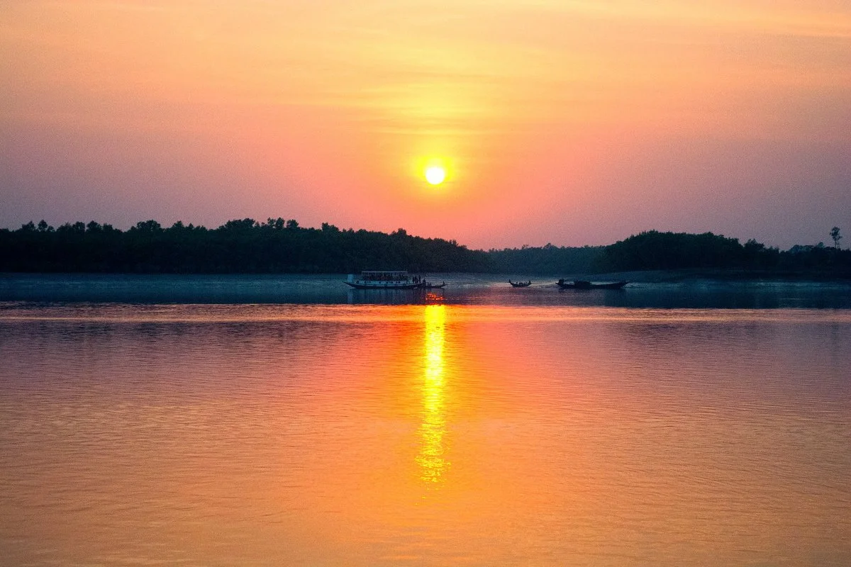 Sajnekhali Bird Sanctuary