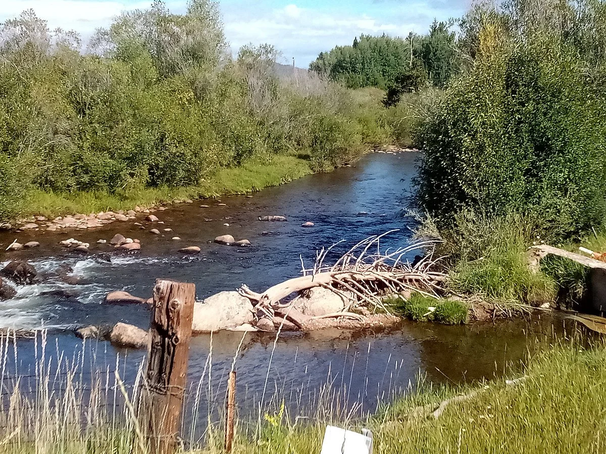 The Fraser River Trail