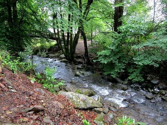 Mynatt Park