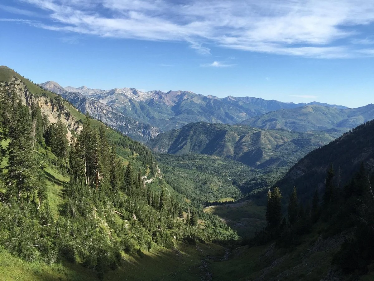 Mount Timpanogos Trails