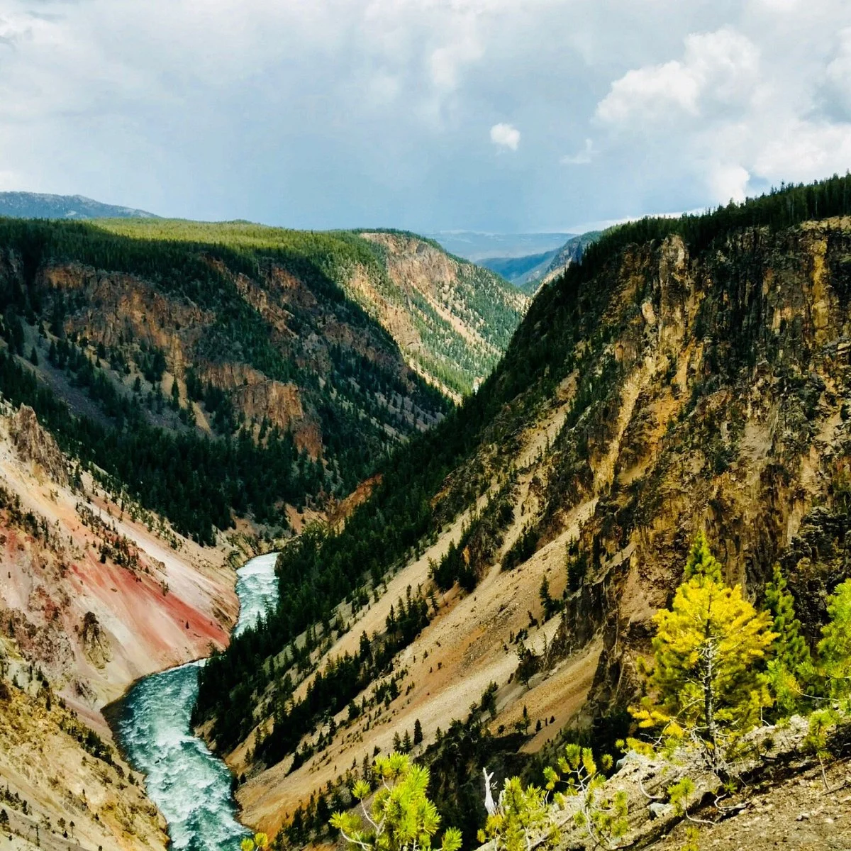 South Rim Trail