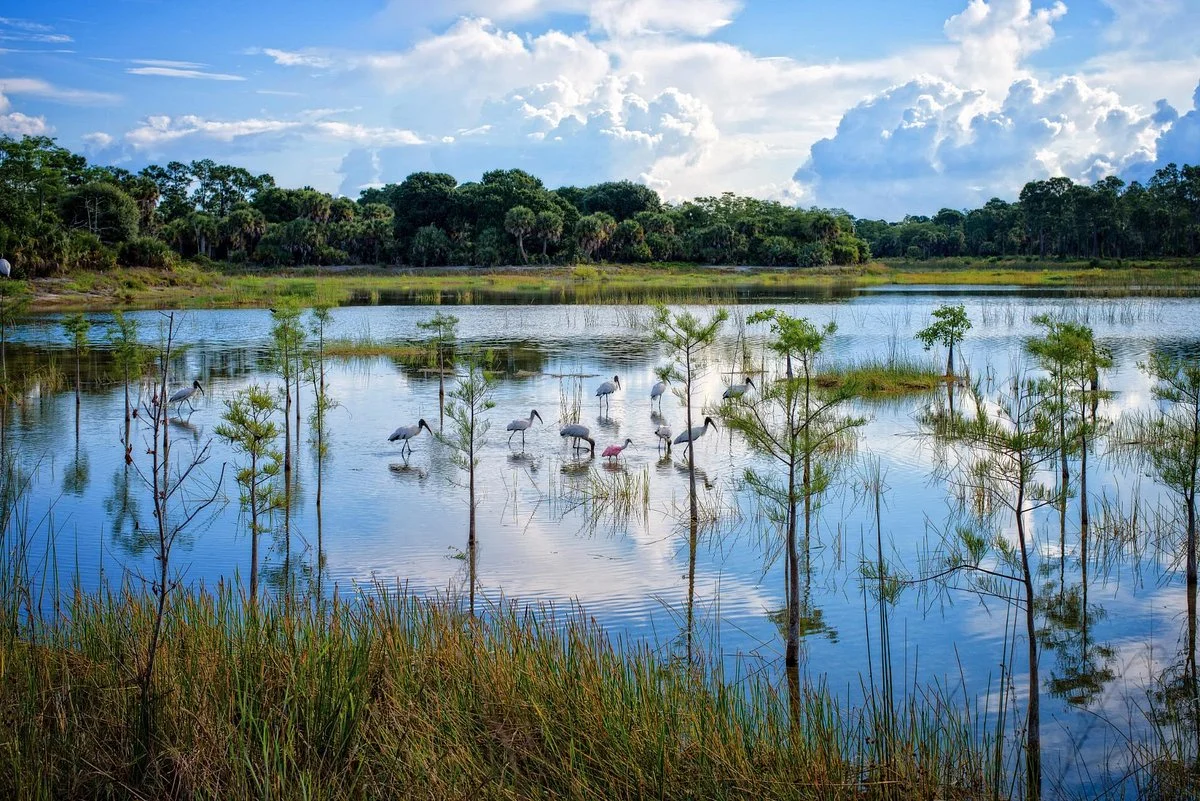 Winding Waters Natural Area