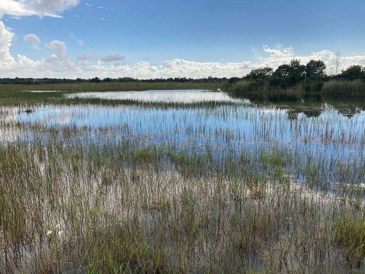 Chapel Trail Park Nature Preserve
