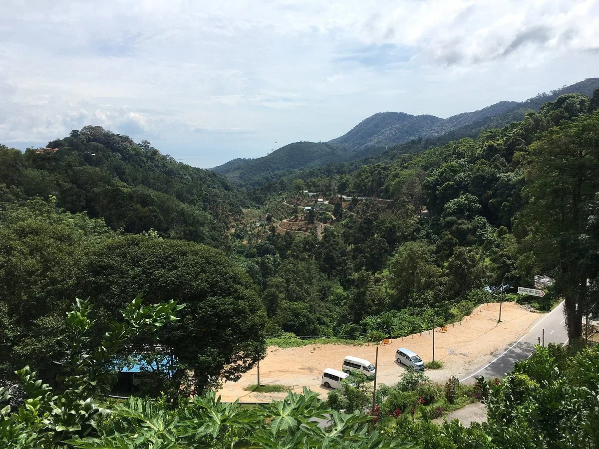 Tropical Fruit Farm