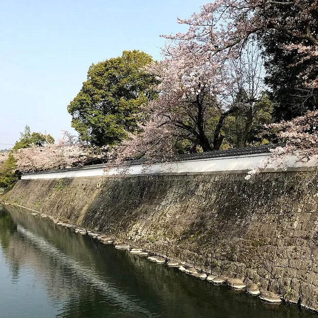 Tsukikuma Park